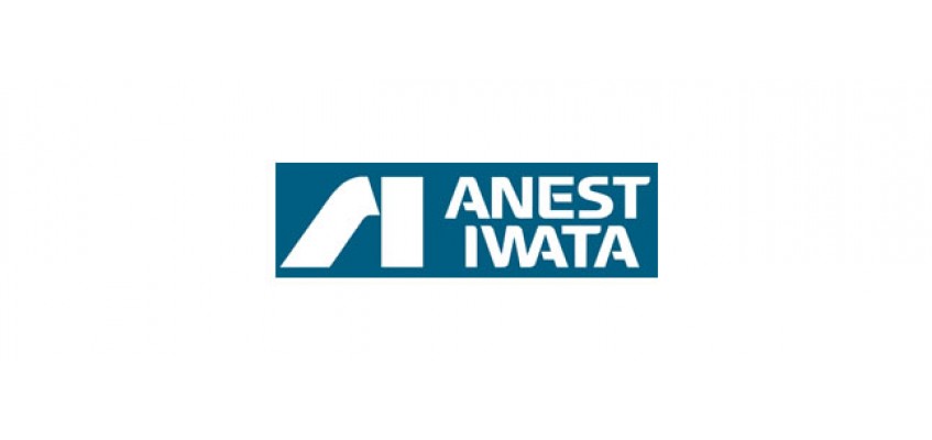Anest Iwata